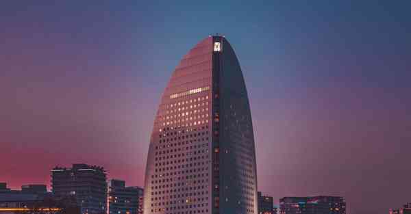 雷克萨斯指示灯图解