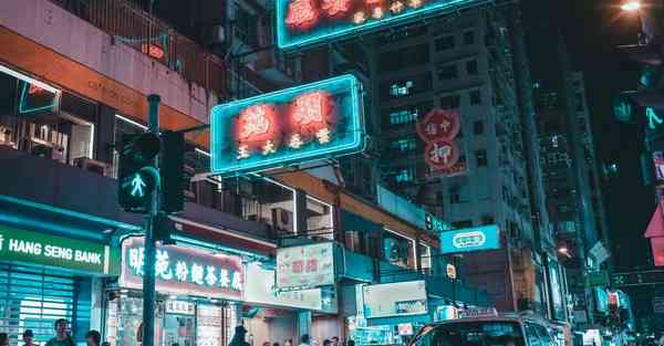 新桑塔纳刹车灯型号